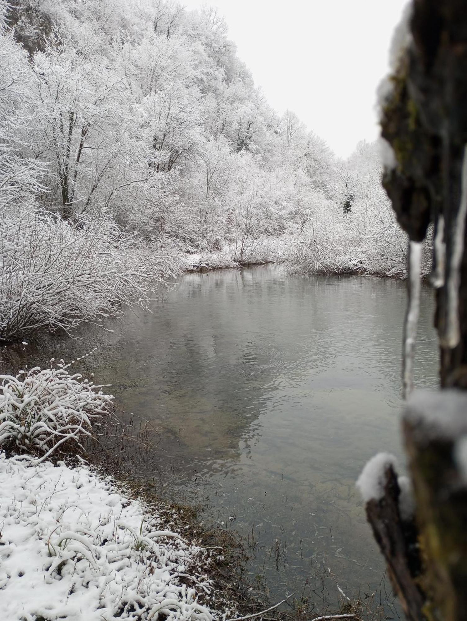 Guesthouse Pavlicic Dreznik Grad ภายนอก รูปภาพ