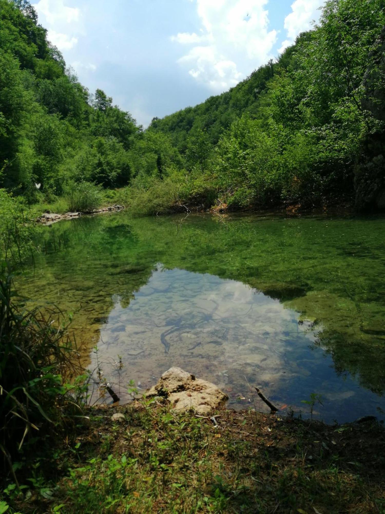 Guesthouse Pavlicic Dreznik Grad ภายนอก รูปภาพ