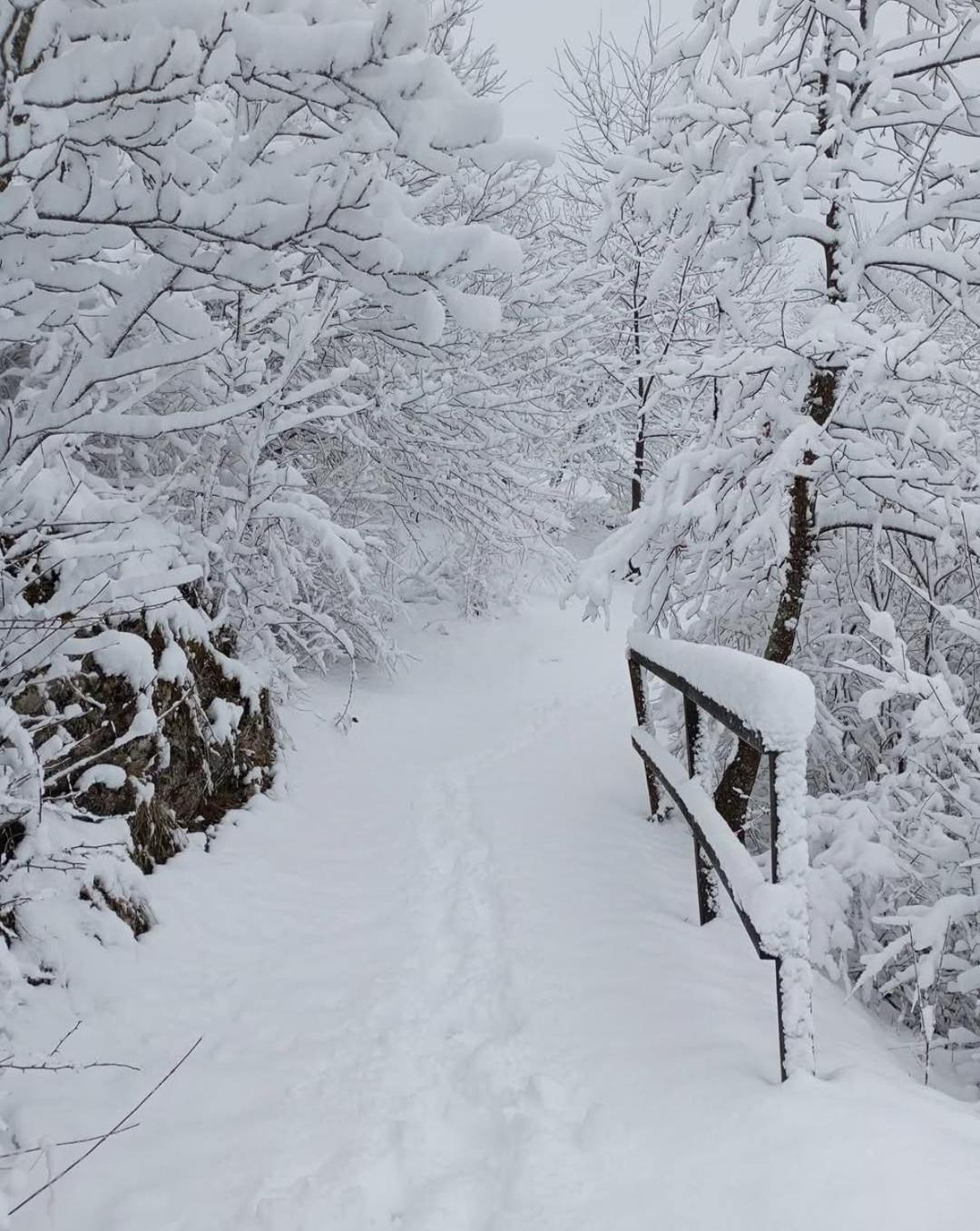 Guesthouse Pavlicic Dreznik Grad ภายนอก รูปภาพ