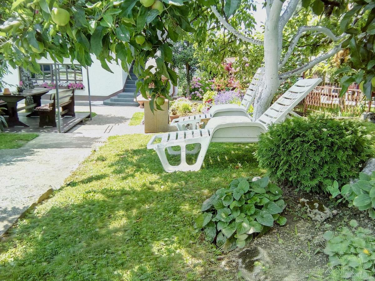Guesthouse Pavlicic Dreznik Grad ภายนอก รูปภาพ